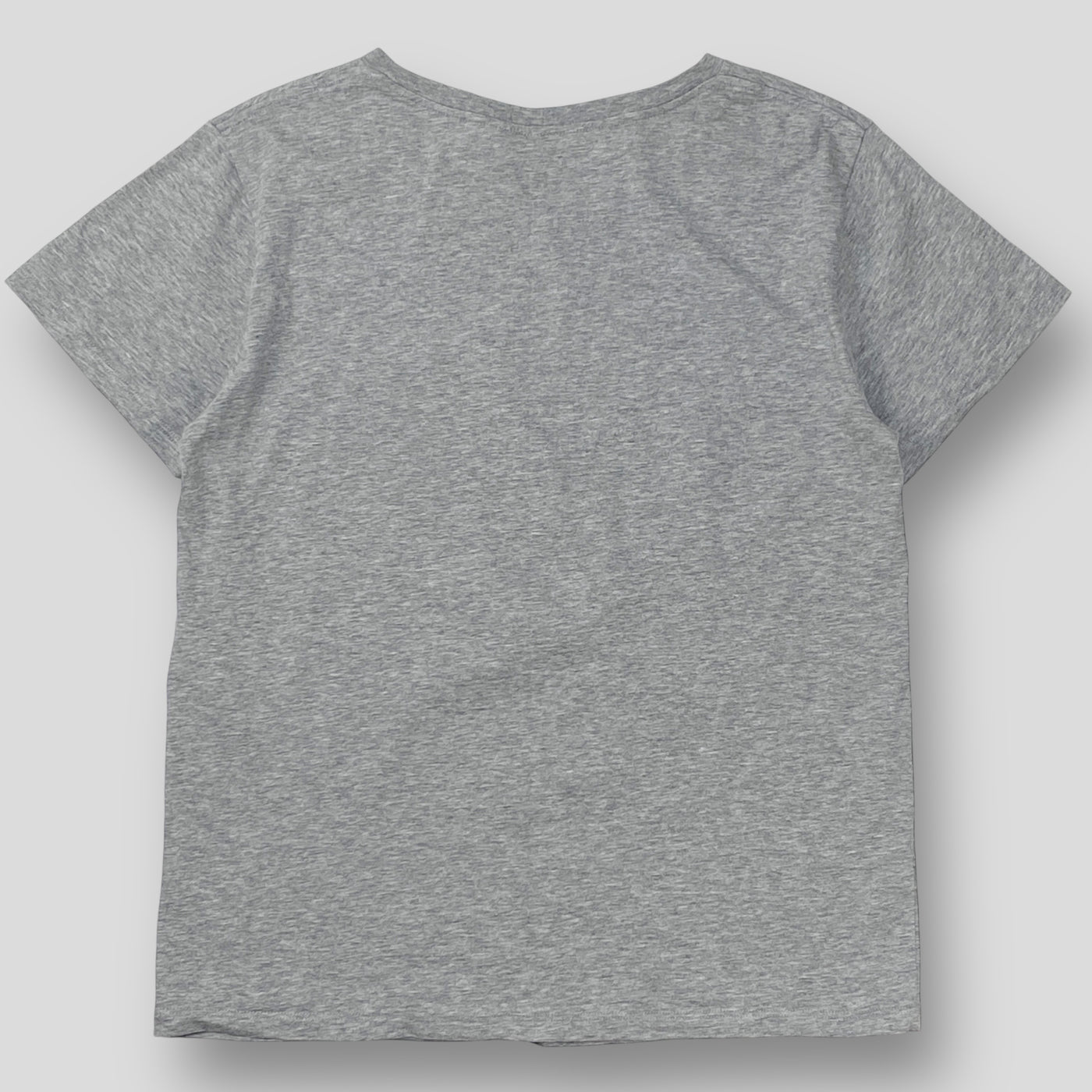 2020SS カレッジ Tシャツ / コットンジャージー 2X314793I L