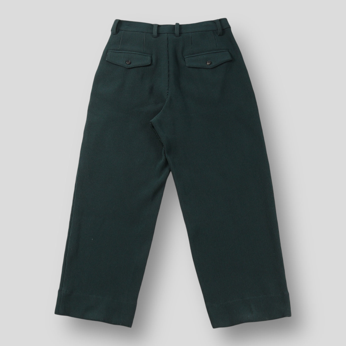 2021AW GRADATION PLEATS TWO TUCK TROUSERS ST.305 S