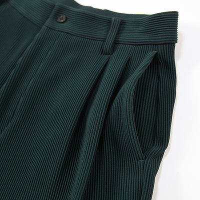 2021AW GRADATION PLEATS TWO TUCK TROUSERS ST.305 S