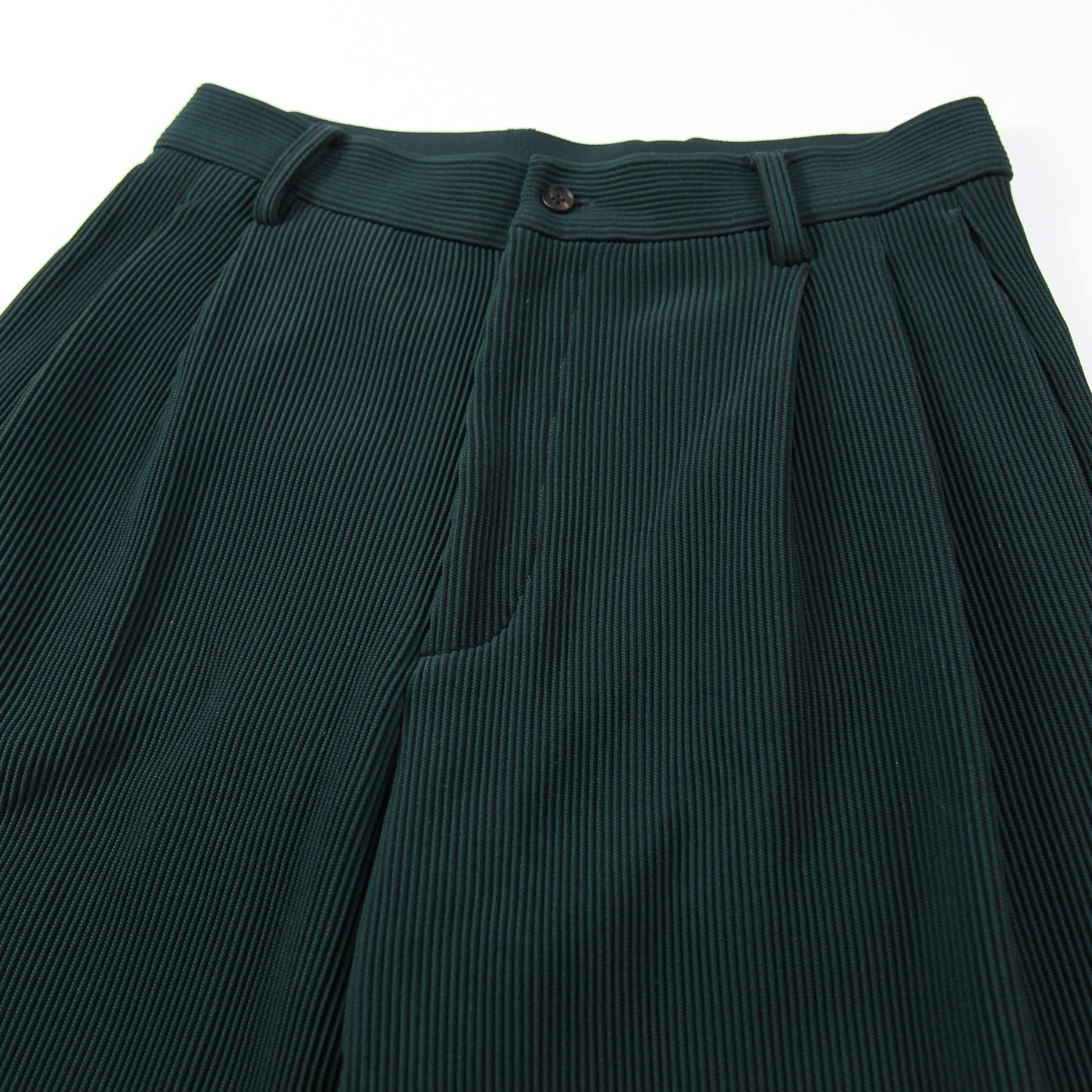 2021AW GRADATION PLEATS TWO TUCK TROUSERS ST.305 S