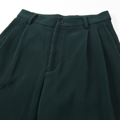 2021AW GRADATION PLEATS TWO TUCK TROUSERS ST.305 S