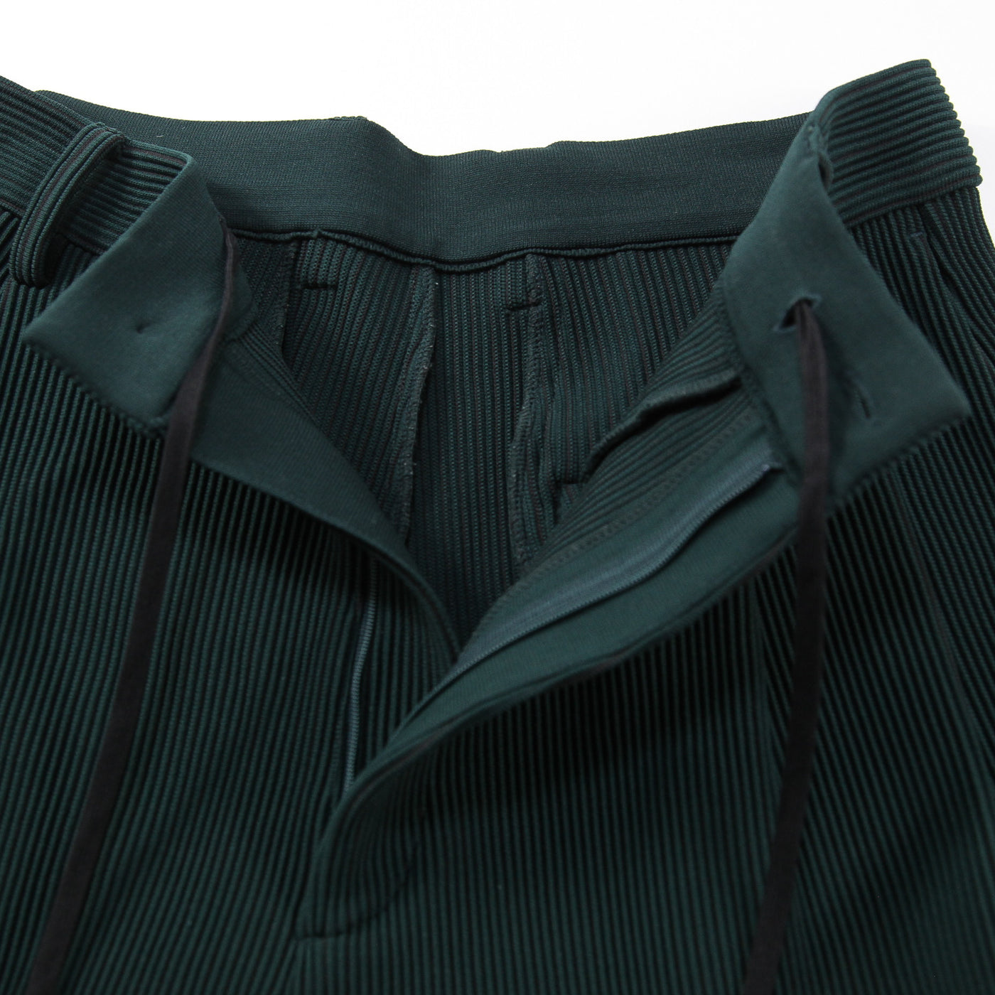 2021AW GRADATION PLEATS TWO TUCK TROUSERS ST.305 S