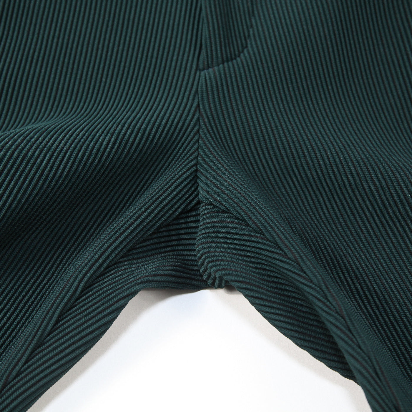 2021AW GRADATION PLEATS TWO TUCK TROUSERS ST.305 S