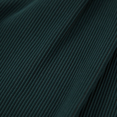 2021AW GRADATION PLEATS TWO TUCK TROUSERS ST.305 S