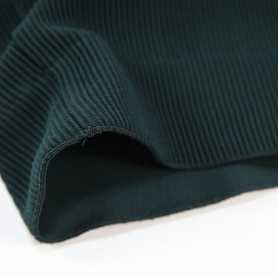 2021AW GRADATION PLEATS TWO TUCK TROUSERS ST.305 S